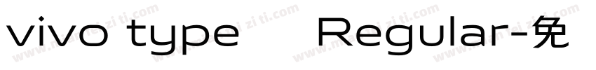 vivo type 简 Regular字体转换